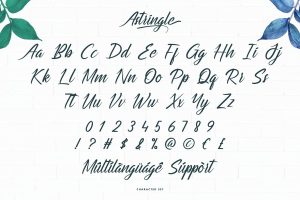 Astringle Modern Calligraphy Fonts - Image 3