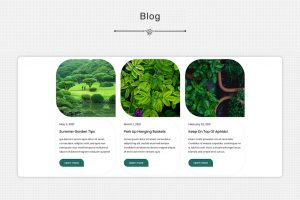 Fitness and Gym WordPress Website - Image 4