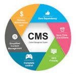 CMS Websites